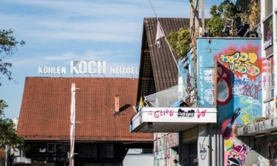 Koch-Areal: Arthur, bleib auf dem Teppich!