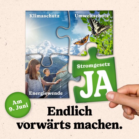 Perfektes Puzzle oder Versorgungs-Panik?  