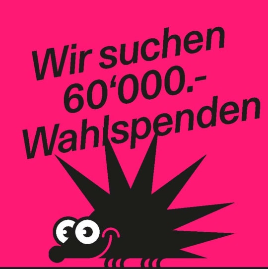 Wahlkampf gestartet – wir suchen 60’000 Franken Spenden!