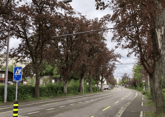 Ein Tram zulasten des Quartiers