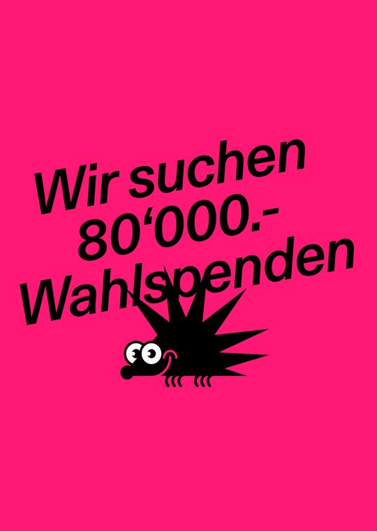 Wahlkampf gestartet – wir suchen 80’000 Franken Spenden!